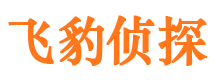 凤城寻人公司